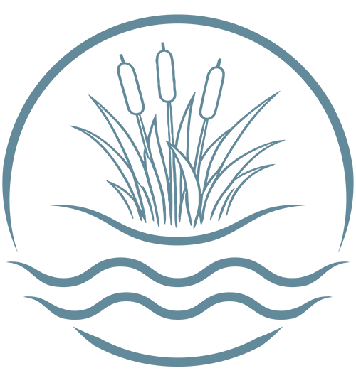 Coastal Futures Restoration